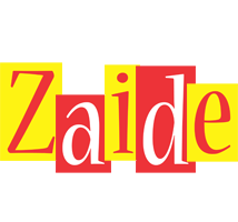Zaide errors logo