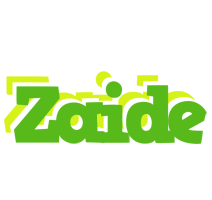 Zaide picnic logo