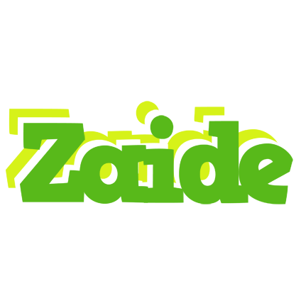 Zaide picnic logo