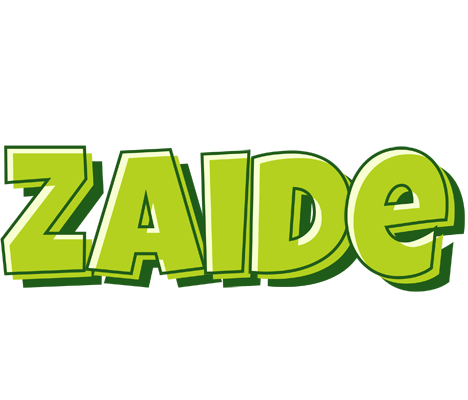 Zaide summer logo