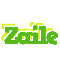 Zaile picnic logo