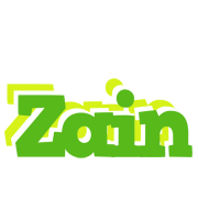 Zain picnic logo