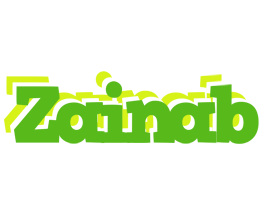 Zainab picnic logo