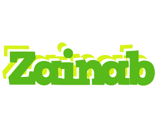 Zainab picnic logo