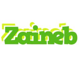 Zaineb picnic logo