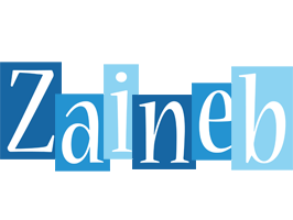 Zaineb winter logo