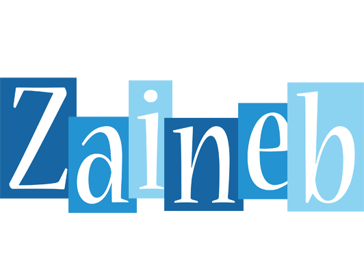 Zaineb winter logo