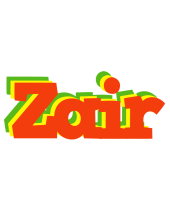 Zair bbq logo