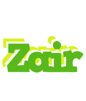 Zair picnic logo