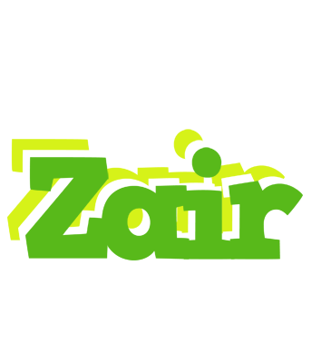 Zair picnic logo