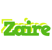 Zaire picnic logo