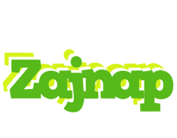 Zajnap picnic logo