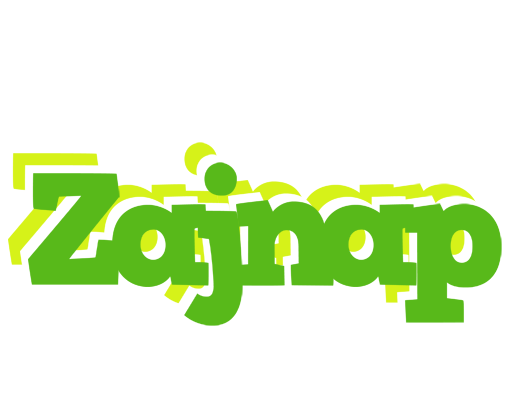 Zajnap picnic logo
