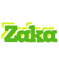 Zaka picnic logo