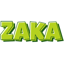 Zaka summer logo