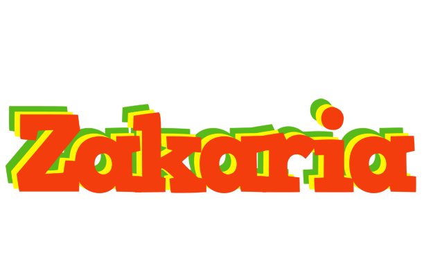 Zakaria bbq logo