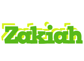 Zakiah picnic logo