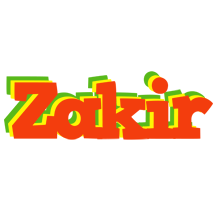 Zakir bbq logo