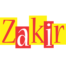 Zakir errors logo