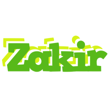 Zakir picnic logo