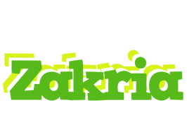 Zakria picnic logo