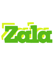 Zala picnic logo