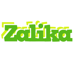 Zalika picnic logo