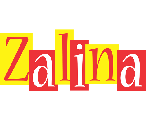 Zalina errors logo