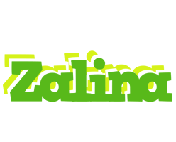 Zalina picnic logo