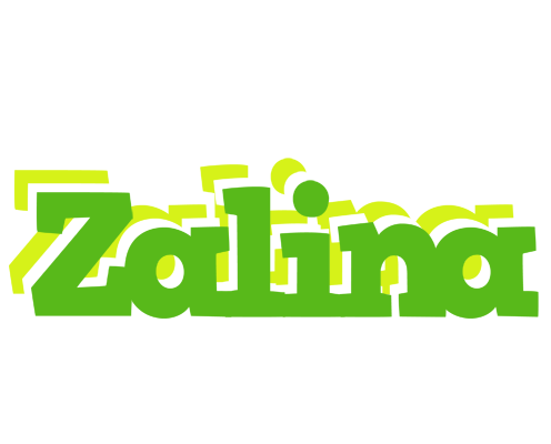 Zalina picnic logo