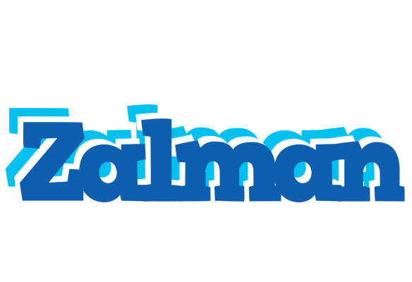 Zalman business logo