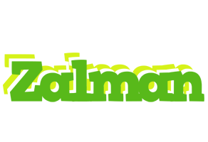 Zalman picnic logo