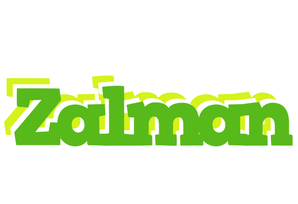 Zalman picnic logo