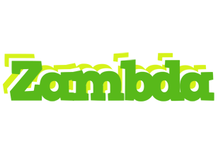 Zambda picnic logo