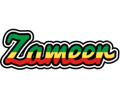 Zameer african logo