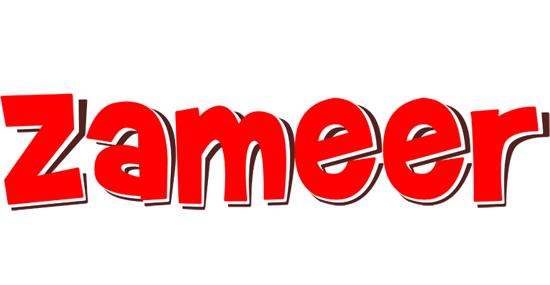 Zameer basket logo