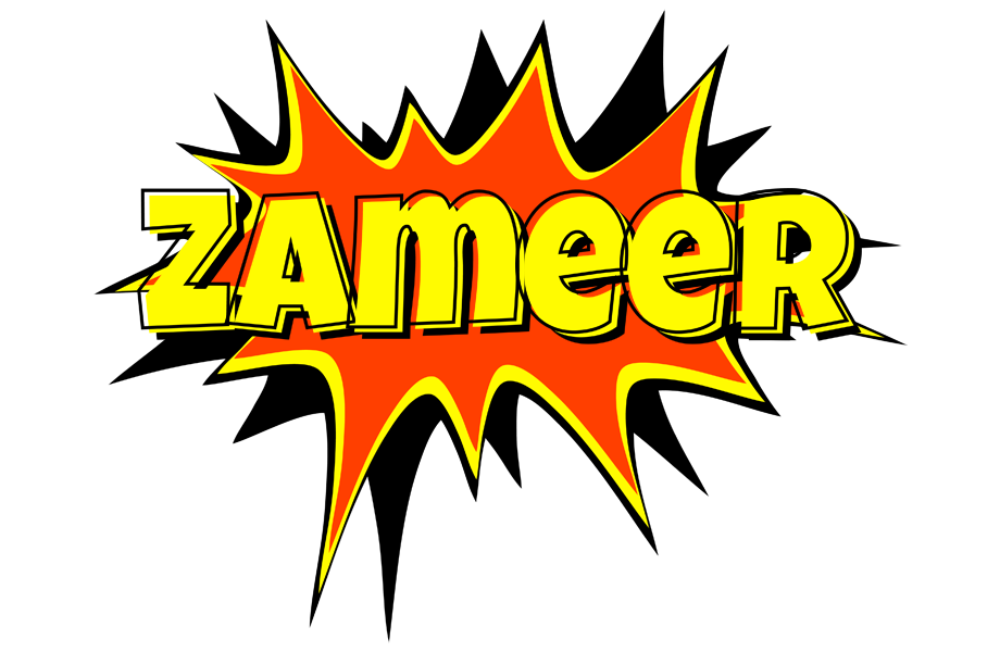 Zameer bazinga logo