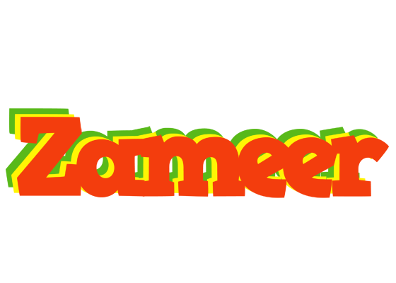 Zameer bbq logo