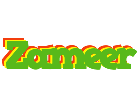 Zameer crocodile logo