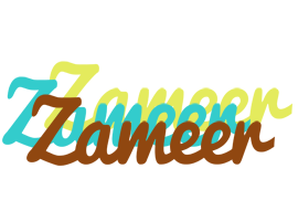 Zameer cupcake logo