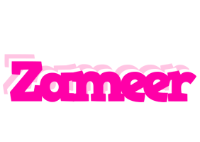 Zameer dancing logo