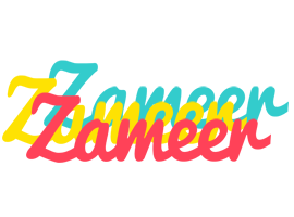 Zameer disco logo