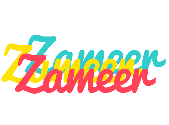 Zameer disco logo