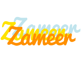 Zameer energy logo