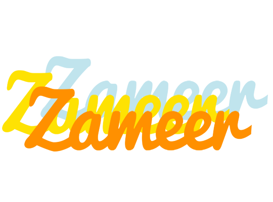 Zameer energy logo