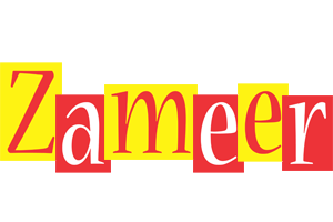 Zameer errors logo