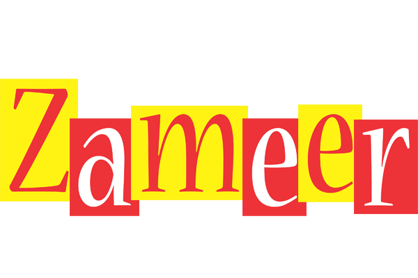 Zameer errors logo