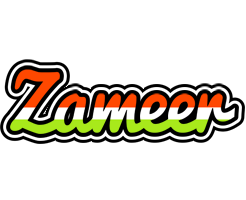 Zameer exotic logo