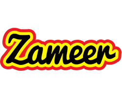 Zameer flaming logo