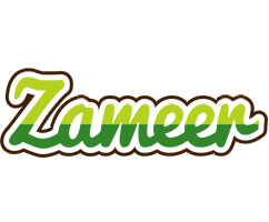 Zameer golfing logo